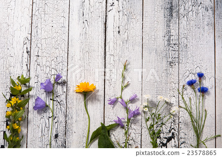 White wooden background with flowers 23578865