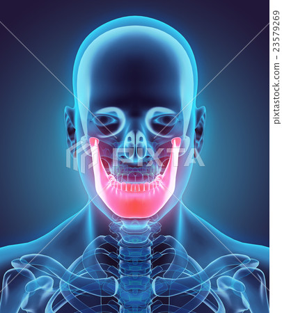 3D illustration of Mandible, medical concept. 23579269