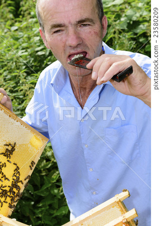 fresh honey from the beehive fresh honey from the beehive 23580209