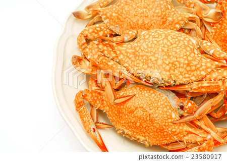 Steamed crabs on white background . Steamed crabs on white background . 23580917