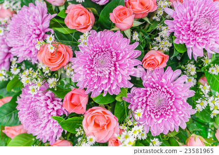 Beautiful flowers for valentines and wedding scene Beautiful flowers for valentines and wedding scene 23581965