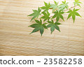 Rattan rug and Momiji 23582258
