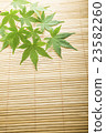 Rattan rug and Momiji 23582260