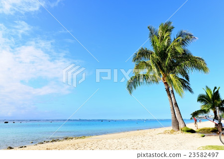 Holidays in Hawaii 23582497