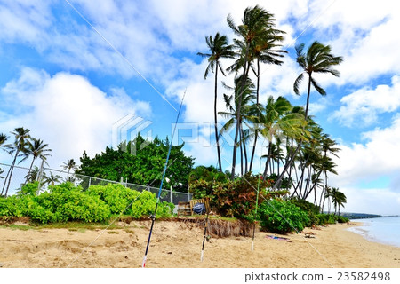 夏威夷的假期 23582498