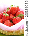 Strawberry  23584059