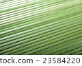 Aotake rug 23584220