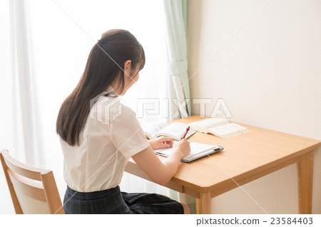 Student studying Student studying 23584403
