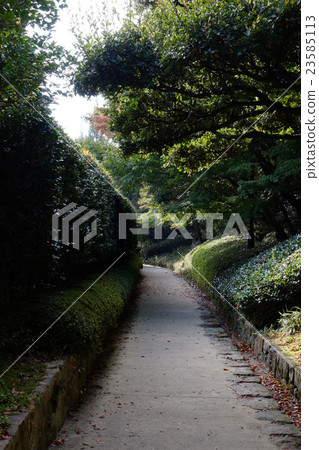 Sankei Garden 2015 early fall part 1 Sankei Garden 2015 early fall part 1 23585113