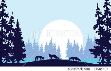 Silhouette of three fox in hill Silhouette of three fox in hill 23585303