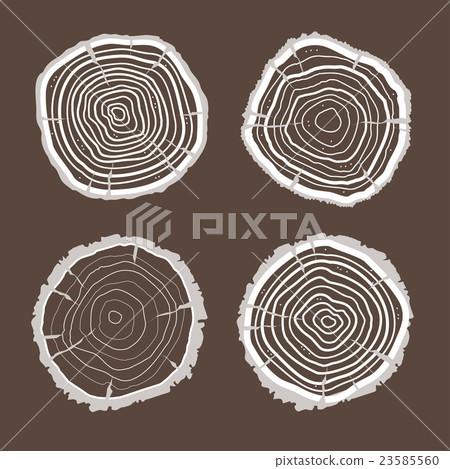 Vector tree rings set. Flat Design Vector tree rings set. Flat Design 23585560