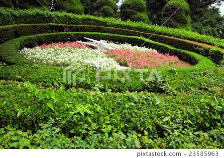 花鐘 花鐘 23585963