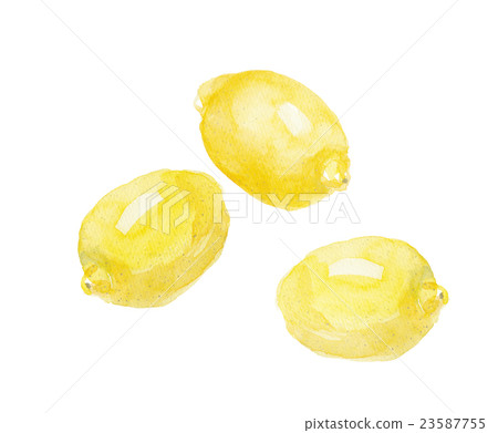 Lemon Lemon 23587755