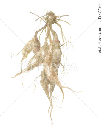 Kuzu no yu Kuzu no yu 23587756