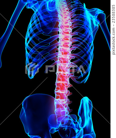 Spine painful skeleton x-ray, 3D illustration. 23588385