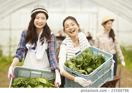 在農業景觀工作的女孩 23588796