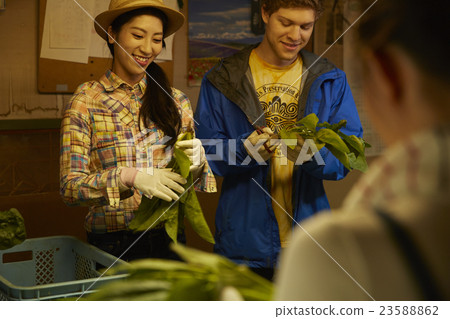 入境農業經驗 23588862