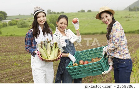 農業女孩畫像 23588863