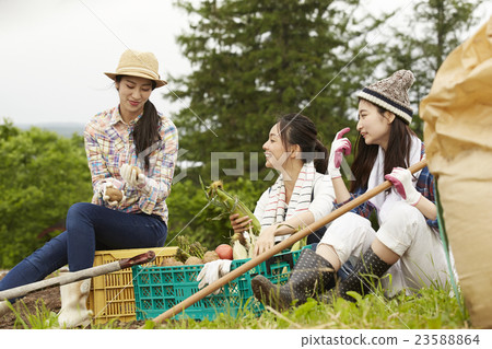 Agriculture Girls portrait Agriculture Girls portrait 23588864
