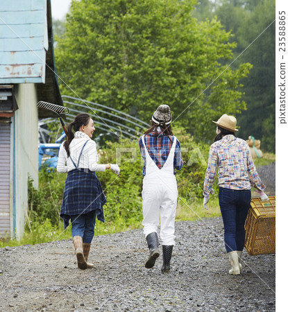 農業女孩工作風景 23588865