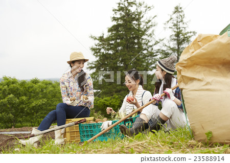 Agriculture Girls portrait 23588914