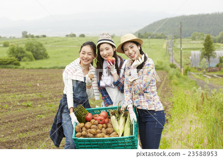 農業女孩畫像 23588953