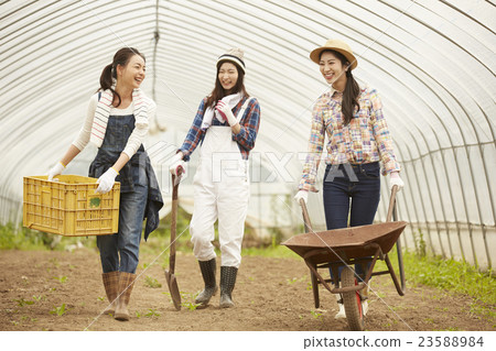 在農業景觀工作的女孩 23588984