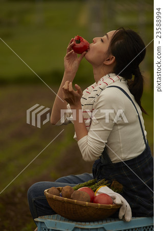 農業女孩畫像 農業女孩畫像 23588994