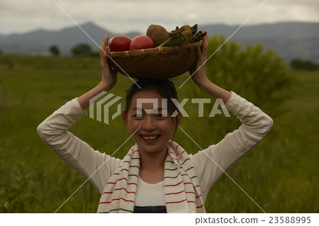 農業女孩畫像 23588995