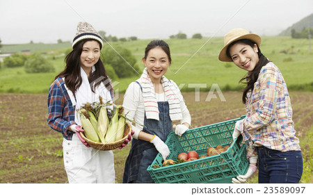 農業女孩畫像 23589097