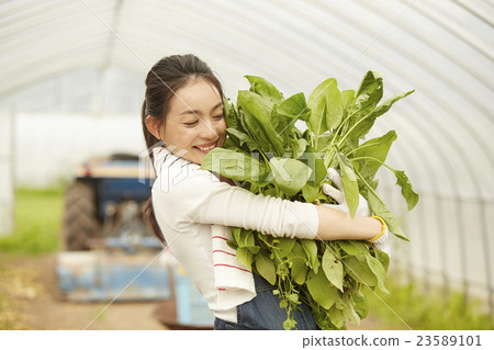 Agriculture Girls portrait 23589101