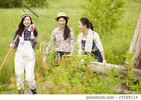 Agriculture Girls work scenery Agriculture Girls work scenery 23589114