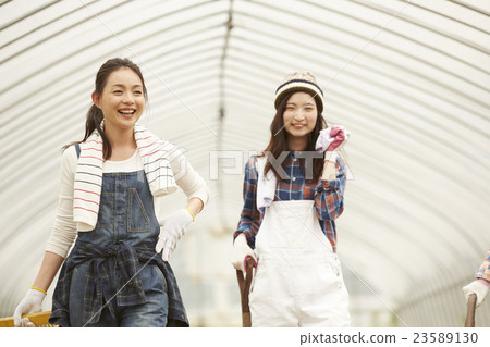 Girls working in agriculture landscape Girls working in agriculture landscape 23589130