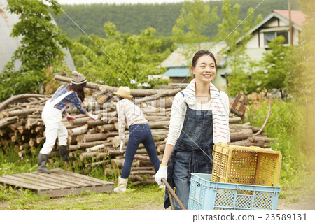 Agriculture Girls work scenery Agriculture Girls work scenery 23589131