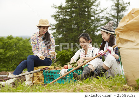 農業女孩畫像 23589152