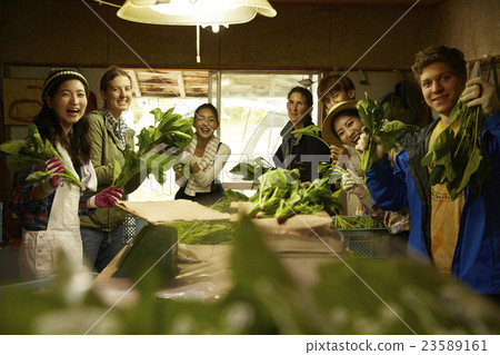 入境農業經驗 23589161