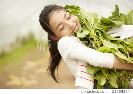 農業女孩畫像 23589234