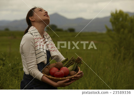 農業女孩畫像 23589336