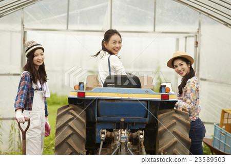 農業女孩畫像 農業女孩畫像 23589503