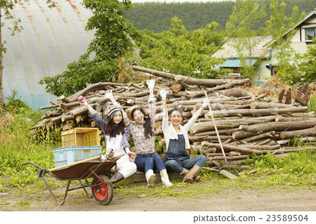 Agriculture Girls work scenery 23589504