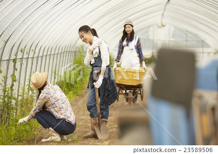 Girls working in agriculture landscape 23589506