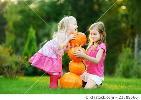 Two little sisters playing with huge pumpkins 23589560