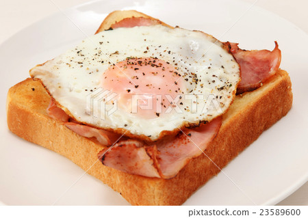 Bacon and egg toast 23589600