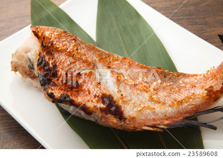 烤紅色的烤魚 23589608