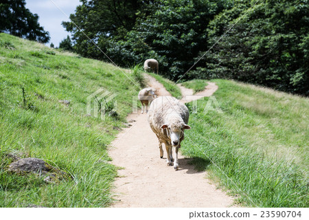 Rokko Mountains Ranch Rokko Mountains Ranch 23590704
