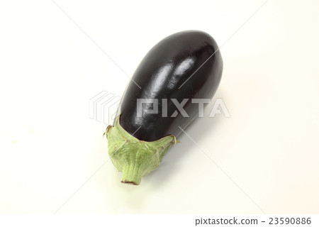 美國茄子 23590886
