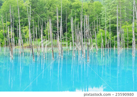 Blue pond Blue pond 23590980