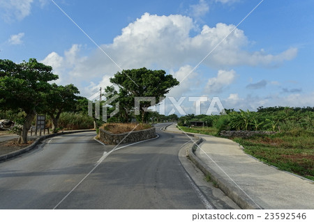 The way from Taketomijima center to Taketomi Higashi Port. Taketomi Town, Yaeyama-gun, Okinawa Prefecture The way from Taketomijima center to Taketomi Higashi Port. Taketomi Town, Yaeyama-gun, Okinawa Prefecture 23592546