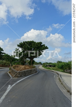 The way from Taketomijima center to Taketomi Higashi Port. Taketomi Town, Yaeyama-gun, Okinawa Prefecture The way from Taketomijima center to Taketomi Higashi Port. Taketomi Town, Yaeyama-gun, Okinawa Prefecture 23592547