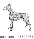 Doberman Dog  doodle 23592765